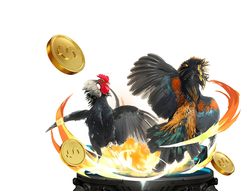 Tin tức nền tảng cá cược và Phỏm trực tuyến